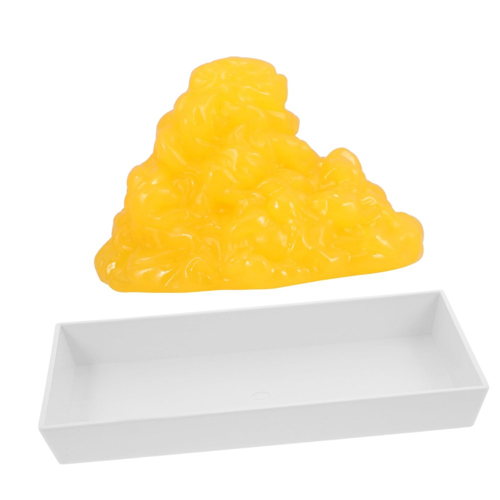 PartyKindom Teaching Replica with Base 1-Pound Human Fat Model for Exercise Fitness Education