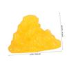 PartyKindom Teaching Replica with Base 1-Pound Human Fat Model for Exercise Fitness Education view 4