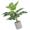 Ciieeo Simulated Bonsai Ornament Realistic Fake Plant Desktop Decoration for Home Office Indoor Maintenance Beautifully Crafted Faux Bonsai Arrangement