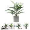 Ciieeo Simulated Bonsai Ornament Realistic Fake Plant Desktop Decoration for Home Office Indoor Maintenance Beautifully Crafted Faux Bonsai Arrangement view 2