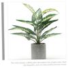 Ciieeo Simulated Bonsai Ornament Realistic Fake Plant Desktop Decoration for Home Office Indoor Maintenance Beautifully Crafted Faux Bonsai Arrangement view 3