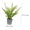 Ciieeo 1pc Artificial Fern Plant Decor Creative Simulation Potted Bonsai Ornament for Home Office and Desk Lifelike Greenery Materials for Homeowners view 2