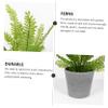 Ciieeo 1pc Artificial Fern Plant Decor Creative Simulation Potted Bonsai Ornament for Home Office and Desk Lifelike Greenery Materials for Homeowners view 4