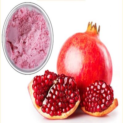 500g Organic Flavor Pomegranate Juice Powder for Smoothie & Beverage, Natural Vitamin C (Immune Vitamin), Support Immune System, Vegan Friendly