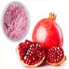 500g Organic Flavor Pomegranate Juice Powder for Smoothie & Beverage, Natural Vitamin C (Immune Vitamin), Support Immune System, Vegan Friendly view 1