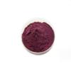 Grape Skin 30% Polyphenol Extract Powder - 100g view 2