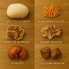 Me First Living Mushroom Complex Supplement 10 in 1 with Lions Mane, Cordyceps, Turkey Tail, Reishi, and More. High Strength Nootropic Brain Supplements for Memory & Focus - Lions Mane Supplement view 3