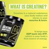 NutraBio Pure Micronized Creatine Monohydrate Powder Supplement, Lemon Burst, (300 g) - Supports Bulk Muscle Energy, Recovery, and Strength - HPLC Tested Creatine Powder Supplement for Men and Women view 3