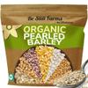 Be Still Farms Organic Grain for Healthy Nutrition view 3