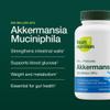 Akkermansia Muciniphila Probiotic 500M AFU for GLP-1 Production - Pre + Probiotic Supplement - 30 Capsules view 2