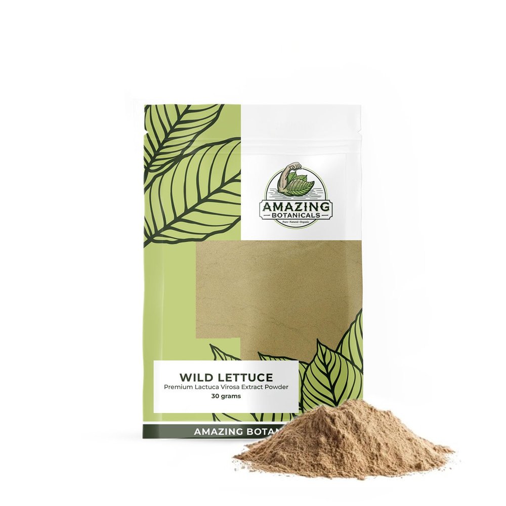 Amazing Botanicals Wild Lettuce Premium 10:1 Extract Powder - Pure and Potent Herbal Supplement for Relaxation and Relief | 30 Grams