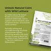 Amazing Botanicals Wild Lettuce Premium 10:1 Extract Powder - Pure and Potent Herbal Supplement for Relaxation and Relief | 30 Grams view 2