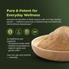Amazing Botanicals Wild Lettuce Premium 10:1 Extract Powder - Pure and Potent Herbal Supplement for Relaxation and Relief | 30 Grams view 3