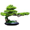 Artificial Bonsai Tree Bonsai Realistic Fake Plant Decoration Artificial Juniper Bonsai Tree with Pony Figurine 19 Inch -20 Inch Tall with Pot for Decoration, Desktop Display, Zen Garden Decor Artific view 1