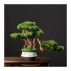 Artificial Bonsai Tree Artificial Plants Pine Bonsai Indoor Decoration Fake Bonsai with Ceramic Pot Feng Shui Good Luck Fortune Bonsai Tree Artificial Living Room Accessories Room Office Decoration Ar view 1