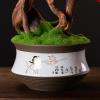 Artificial Bonsai Tree Artificial Plants Pine Bonsai Indoor Decoration Fake Bonsai with Ceramic Pot Feng Shui Good Luck Fortune Bonsai Tree Artificial Living Room Accessories Room Office Decoration Ar view 3