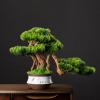 Artificial Bonsai Tree Artificial Plants Pine Bonsai Indoor Decoration Fake Bonsai with Ceramic Pot Feng Shui Good Luck Fortune Bonsai Tree Artificial Living Room Accessories Room Office Decoration Ar view 4