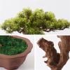 Artificial Plants Bonsai Artificial Bonsai Tree Artificial Bonsai Tree 25.9in Green Simulation Welcome Bonsai Tree Living Room Office Desktop Decor Artificial Bonsai Plant Ceramic Flower Pot Artificia view 3