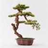Artificial Plants Bonsai Artificial Bonsai Tree Artificial Bonsai Tree 25.9in Green Simulation Welcome Bonsai Tree Living Room Office Desktop Decor Artificial Bonsai Plant Ceramic Flower Pot Artificia view 4