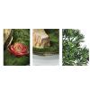 Artificial Plants Bonsai Artificial Bonsai Tree Artificial Bonsai Tree New Chinese-Style Simulation Luohan Pine Bonsai Tree 25.6 in Large Green Simulation Welcome Pine Bonsai Plant Ceramic Flower Pot view 4