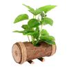ABOOFAN Artificial Bonsai Miniature Landscape for Home and Office Decor Plastic Potted Greenery Low Maintenance Faux Plant for Desktop and Dollhouse Decoration view 1
