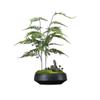 Artificial Bonsai Tree Indoor Chinese-Style Simulation Bamboo Plant Bonsai Micro-Landscape Landscaping Study Tea Room Decoration Ornaments Office Decoration Bonsai view 1