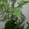 Artificial Bonsai Tree Indoor Chinese-Style Simulation Bamboo Plant Bonsai Micro-Landscape Landscaping Study Tea Room Decoration Ornaments Office Decoration Bonsai view 4