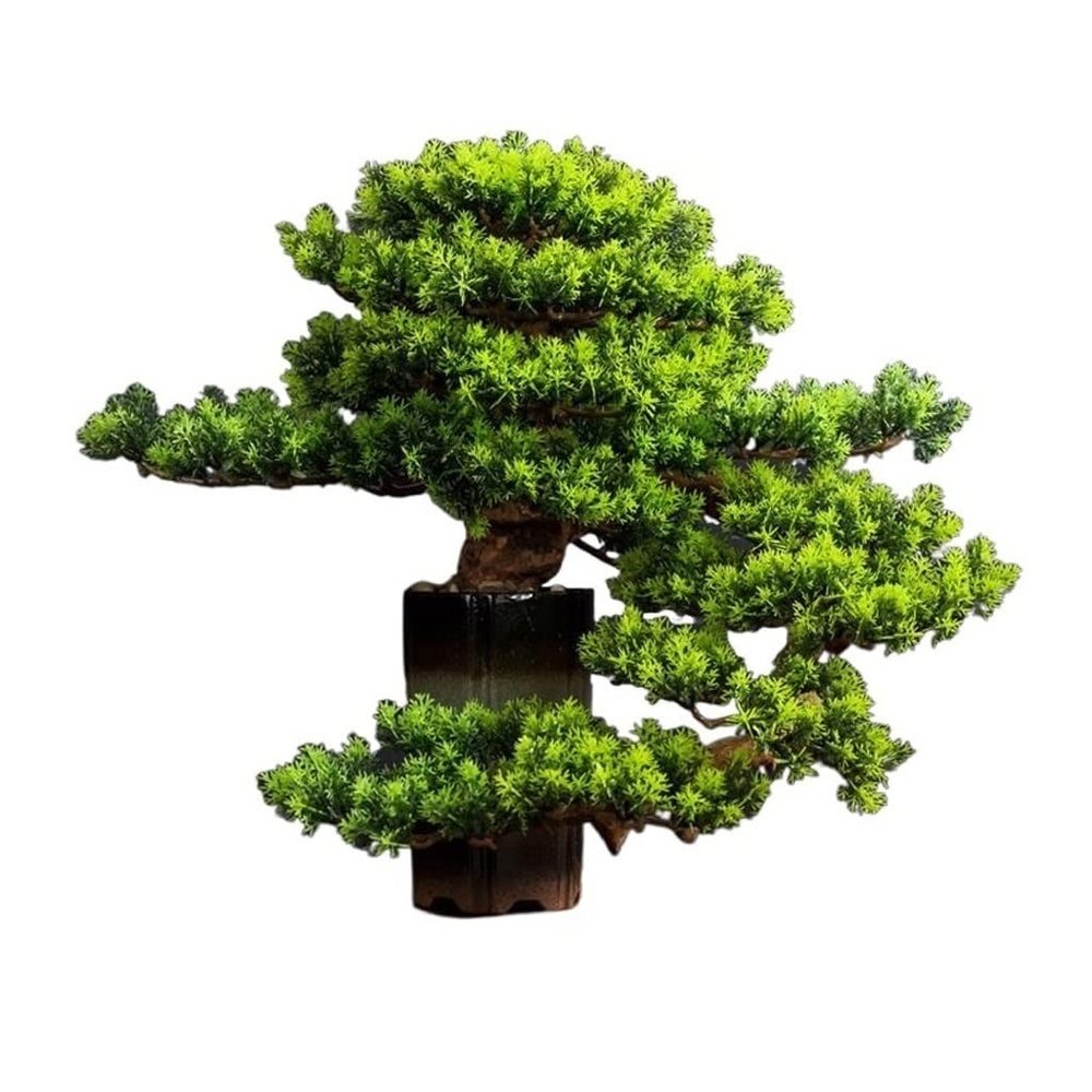 AMONG Artificial Bonsai Tree Artificial Pine Bonsai Simulation Green Plant Bonsai Indoor and Outdoor Greening Ceramic Pot Living Room Office Decoration Office Decoration Bonsai
