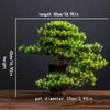 AMONG Artificial Bonsai Tree Artificial Pine Bonsai Simulation Green Plant Bonsai Indoor and Outdoor Greening Ceramic Pot Living Room Office Decoration Office Decoration Bonsai view 2