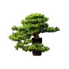 AMONG Artificial Bonsai Tree Artificial Pine Bonsai Simulation Green Plant Bonsai Indoor and Outdoor Greening Ceramic Pot Living Room Office Decoration Office Decoration Bonsai view 3