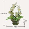 Artificial Bonsai Tree Feng Shui Auspicious Jade Bonsai-Magnolia Flower Bonsai Ornament Suitable for Living Room Porch Balcony Decoration Office Decoration Bonsai view 2