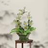 Artificial Bonsai Tree Feng Shui Auspicious Jade Bonsai-Magnolia Flower Bonsai Ornament Suitable for Living Room Porch Balcony Decoration Office Decoration Bonsai view 4