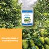CHAVI Freeze-Dried Soursop - 2 Oz - Healthy 1 Ingredient Superfood - No Added Sugars or Preservatives - Non-GMO, Vegan, Gluten-Free view 4