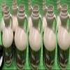 Empty Maple Syrup Jugs - Pint (16 FL OZ Each) - Case of 10 Containers MADE IN USA with Food Grade Materials. view 2