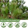 Premium 100 Pine Neddle Tea Bags,100% Picked from Natural Wild Pine Neddle, No Caffeine & No Additives. view 2