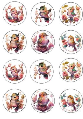 12 Precut Baby Hummingbirds Birthday Edible Wafer Precut 2" Cupcake, Cookie Toppers -08