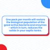 Septic Tank Treatment | Septic Enzyme Pods | 1 Year Supply | 2+ Billions CFUs per Pod | Fast-Dissolving, Live Bacteria-Plus Enzymes | Prevents Backups & Odors | Made in USA by Septi-Flow | 12 Packets view 4