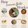 Earthley Wellness Immune Biotic, Herbal Immune Tincture for Cold, Flu, and Overall Immune Health, Natural Ingredients Like Astragalus Root and Elderflower. (4oz, Original) view 2