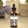 Earthley Wellness Immune Biotic, Herbal Immune Tincture for Cold, Flu, and Overall Immune Health, Natural Ingredients Like Astragalus Root and Elderflower. (4oz, Original) view 3