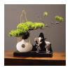 Fake Plants Living Room Decoration Porch Cabinet Office Welcome Pine Bonsai Simulation Pine Bonsai Ornaments Zen Decorations Simulation Bonsai Tree view 1