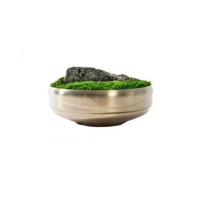 Fake Plants Chinese Zen Moss Simulation Moss Green Plant Bonsai Coffee Table Negotiation Table Tea Room Sales Office Decoration Decoration Simulation Bonsai Tree (Color : A)