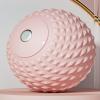 LaLiz Massage Balls, Leg Massagers, Shoulders, Necks, Plantar acupoints, Health Care, Magnetic Fascia Balls, Massage Rollers, Hockey Balls, 2 view 1