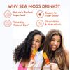 Organic Irish Sea Moss Powder - 200mg Packets for Gut Health and Immune Support - Passionfruit & Citrus Blossom Flavored Drink with Coconut Water for Hydration - Variety 16 Stick Packs view 2