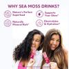 Organic Irish Sea Moss Powder - 200mg Packets for Gut Health and Immune Support - Passionfruit & Citrus Blossom Flavored Seamoss Drink with Coconut Water for Hydration - Variety 32 Stick Packs view 2