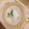 EcoQuality 13" inch Round Charger Clear Plastic Plates with Textured Gold Rim - China Like Party Plates, Heavy Duty Large Disposable Dinner Salad Plate Weddings, Serveware, Catering (16) view 2