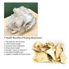 tomnada Gurye Uncle 100% Korea Natural Dehydrated Vegetable Flakes Cut & Sifted in Reclosable Bottle for Soup, Ramen Topping, Stir-fries, Salad - King Oyster Mushroom 40g view 3
