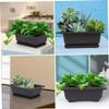 Hintyne Bonsai Pots Bonsai Training Pot Plastic Rectangular Plant Flower Pot Succulent Planter with Tray Bonsai Tree Pots 6PCS view 3