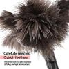 FeelfunFeather Retractable Feather Duster-Genuine Ostrich Feathers,Anti-Static,Reusable Eco-Friendly Handheld Cleaning for Keyboard,Home,Car,Office(10 to 15 Inches) 12Pack view 3