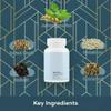 Surge Maxs | Contains Shilajit, Ashwagandha, Gokshura, Safed Musli Capsules | Helps Boost Energy & Stamina | Helps Maintain Overall Health 60 Capsules (Pack of 1) view 2