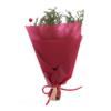 Yardenfun 1pc Dried Flower Bouquet for Thanksgiving and Christmas Decoration PVC Case for Anniversaries Birthdays and Crafts view 1